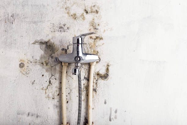 Best Water Damage Restoration  in Redland, TX