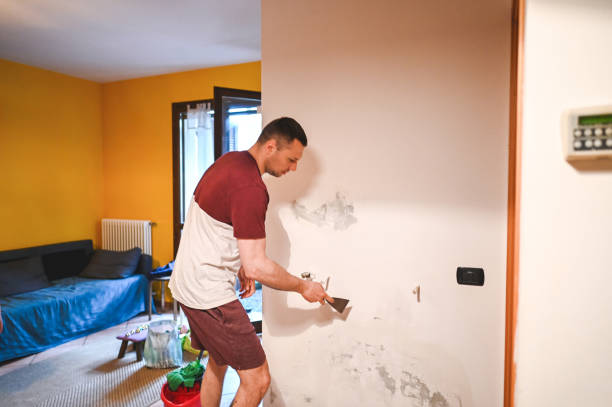 Best Affordable Mold Removal  in Redland, TX