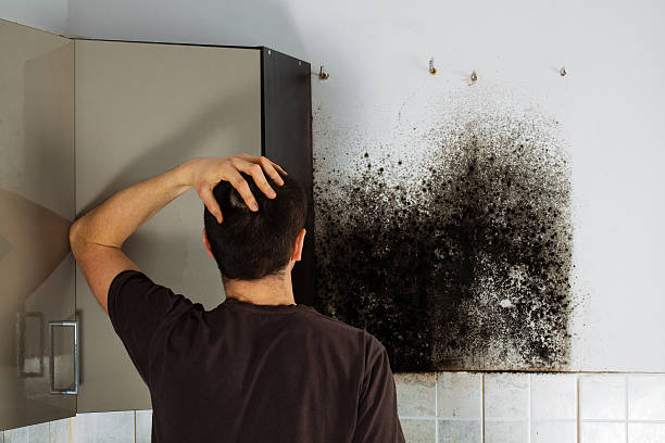 Best Home Mold Removal  in Redland, TX